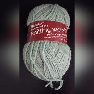 NWT Bucila Mint Green 4 Ply Worsted Virgin Wool Crochet Knit Yarn